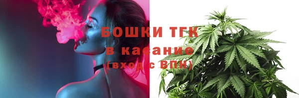 spice Алзамай