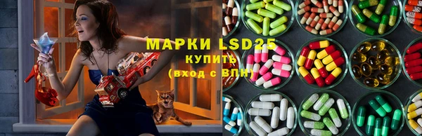 spice Алзамай