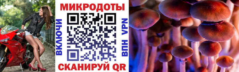 Псилоцибиновые грибы Cubensis  магазин  наркотиков  Южа 