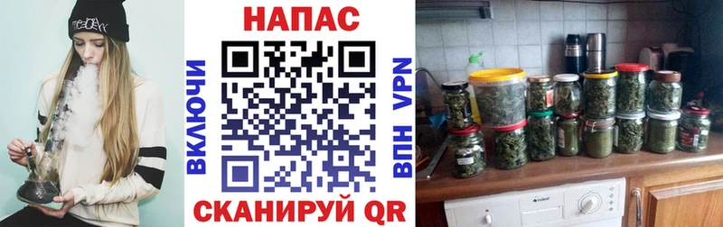 где найти   Южа  Бошки Шишки план 